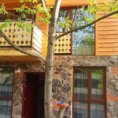 Levani'S Cottage Bordschomi Exterior foto